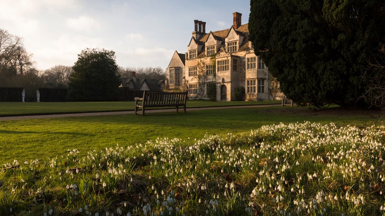 snowdrops in the morning sunlight in front of the house at Anglesey Abbey